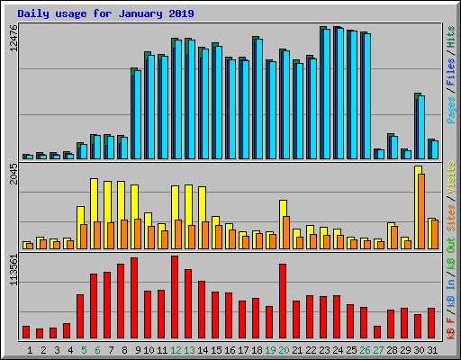 Daily usage for January 2019