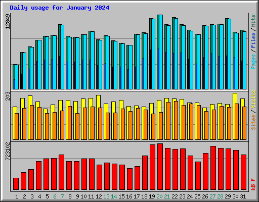 Daily usage for January 2024