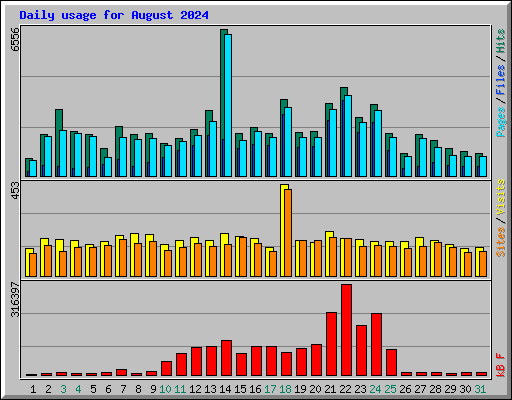 Daily usage for August 2024