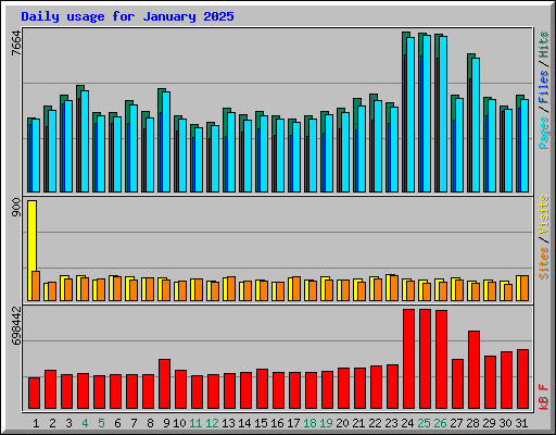 Daily usage for January 2025