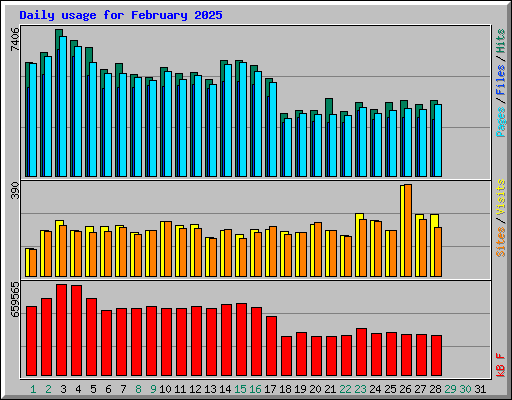 Daily usage for February 2025