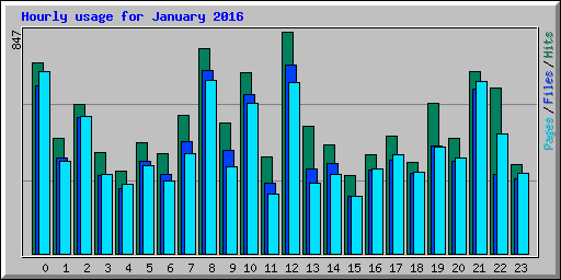 Hourly usage for January 2016