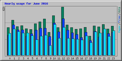 Hourly usage for June 2016