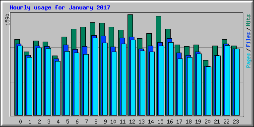 Hourly usage for January 2017