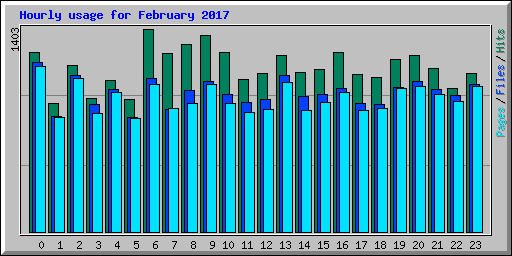 Hourly usage for February 2017