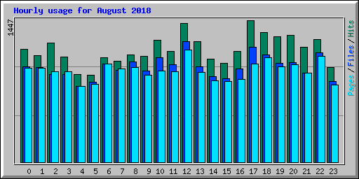 Hourly usage for August 2018