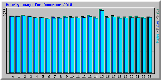 Hourly usage for December 2018