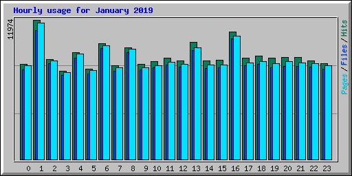 Hourly usage for January 2019