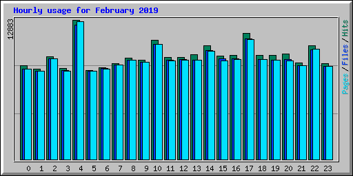 Hourly usage for February 2019