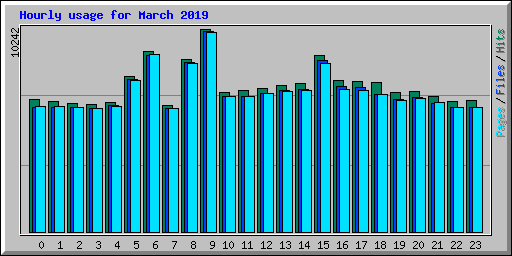 Hourly usage for March 2019