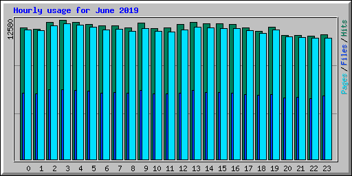 Hourly usage for June 2019