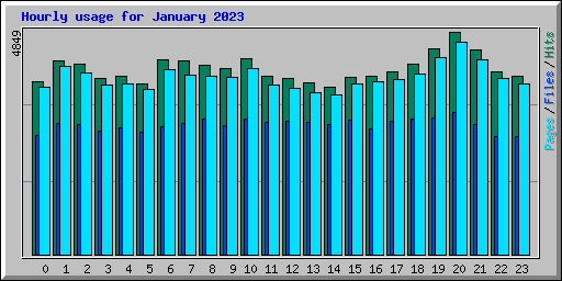 Hourly usage for January 2023