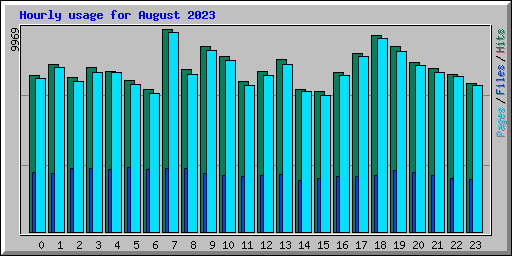 Hourly usage for August 2023