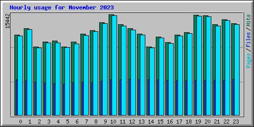 Hourly usage for November 2023