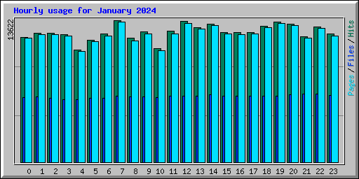 Hourly usage for January 2024