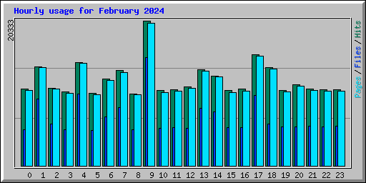 Hourly usage for February 2024