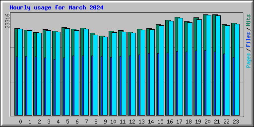 Hourly usage for March 2024