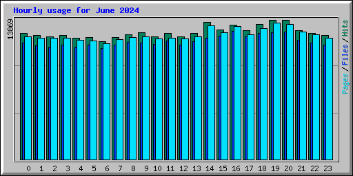 Hourly usage for June 2024