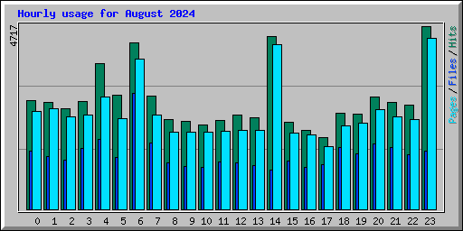 Hourly usage for August 2024