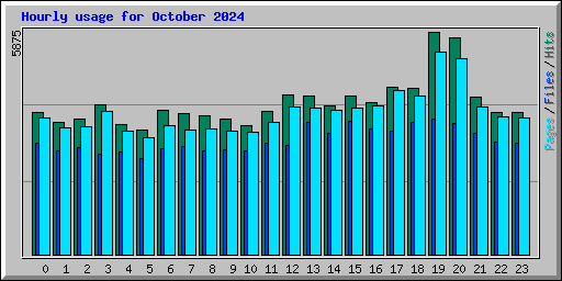 Hourly usage for October 2024