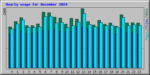 Hourly usage for December 2024