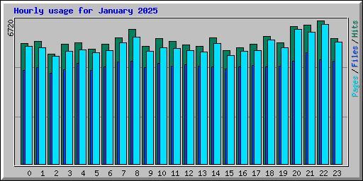 Hourly usage for January 2025
