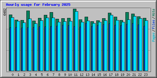 Hourly usage for February 2025