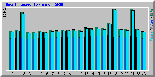 Hourly usage for March 2025