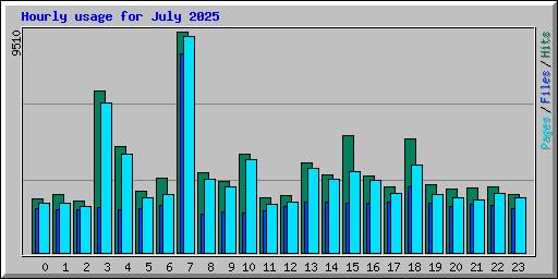 Hourly usage for July 2025