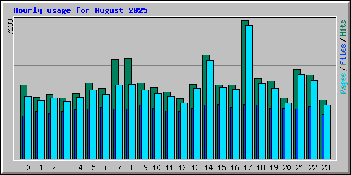 Hourly usage for August 2025