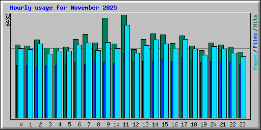 Hourly usage for November 2025