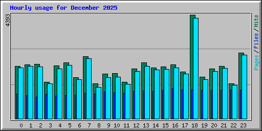 Hourly usage for December 2025